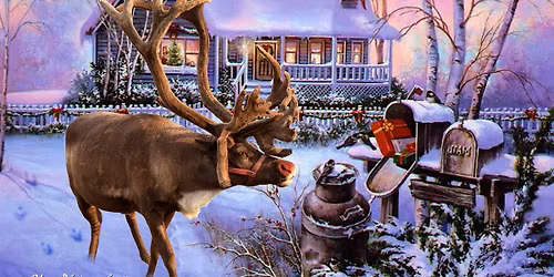 Christmas Town at Summerfield Zoo