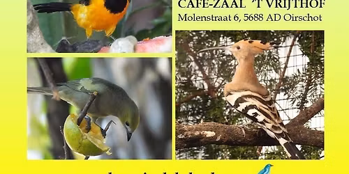 Bird Experience Oirschot 2025 \ud83c\uddf3\ud83c\uddf1