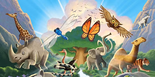 Vacation Bible School Camp