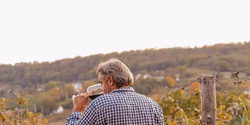 P\u00fcnk\u00f6sdi Nyitott Pinc\u00e9k - Az Iv\u00e1n-v\u00f6lgyi N\u00e9meth J\u00e1nos Pinc\u00e9szetben