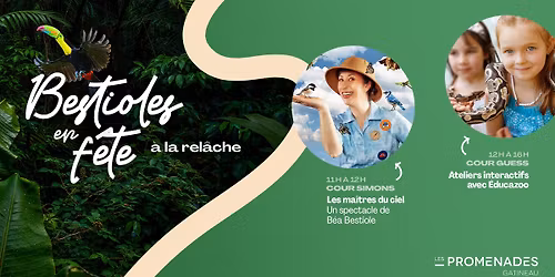 Bestioles en f\u00eate \u00e0 la rel\u00e2che\ud83e\udd8e