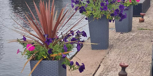 Weekday 3 Course Special