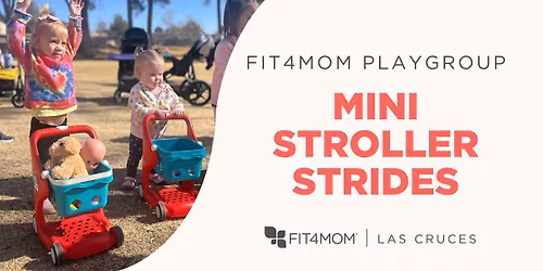 FIT4MOM Playgroup | Mini Stroller Strides