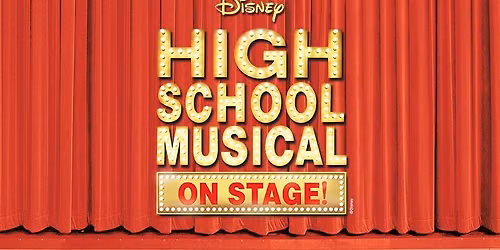 Disney's High School Musical on Stage!