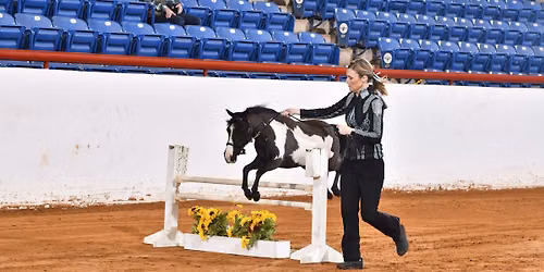 FWSSR Miniature Horse Show