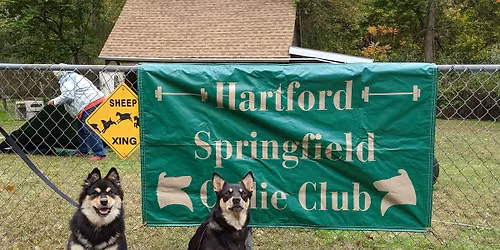 Hartford-Springfield Collie Club\/South Windsor Kennel Club Farm Dog Certification