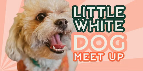 Little White Dog Meet-Up