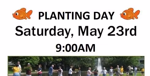 Planting Day at Goldfish Pond
