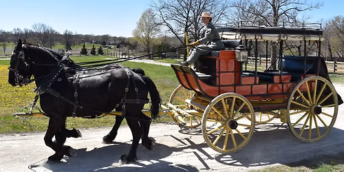 Spring Homeschool Days - Thursday