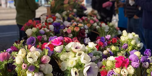 Saturday Market