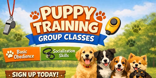 Puppy Group Training Classes (Sundays)