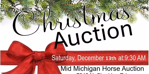 Annual Christmas Auction 