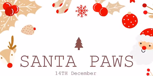 \ud83d\udc36\ud83c\udf85\ud83c\udffb Santa Paws \ud83d\udc3e