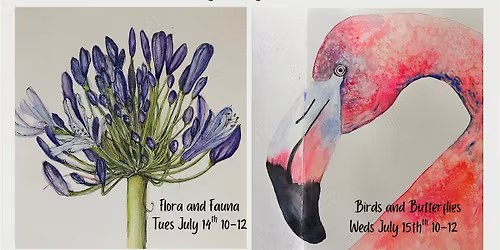 Botanical Art Summer School