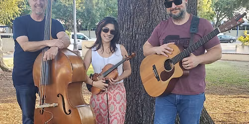Tall Can Koozi at Bluegrass in the Park