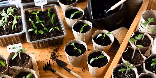 Starter Plant Swap (Spokane Valley Library)