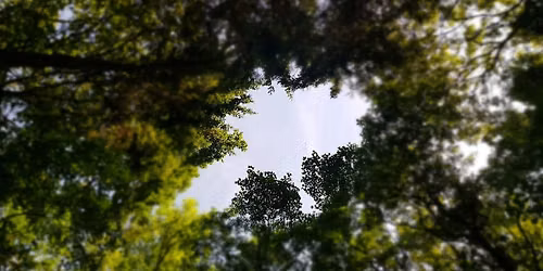 Mindfulness in Nature day at Goodnestone Park