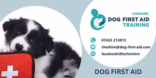 HASLINGTON, CREWE - DOG FIRST AID COURSE, Yoxall Village Hall, CW1 5QZ- \u00a364.50