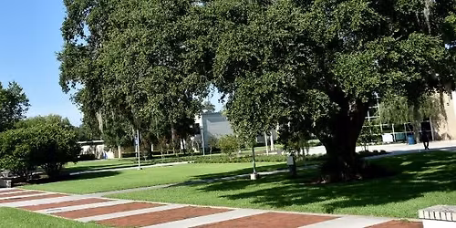 Ocala Campus Preview Night