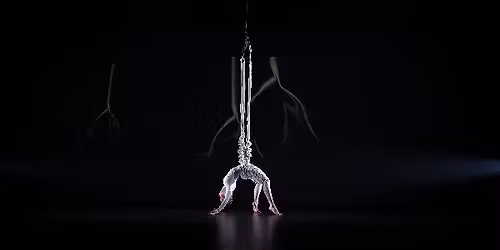 Antilope: Que reste-t-il de notre humanit\u00e9 ? 