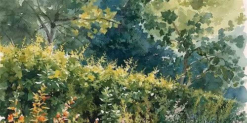 Hedging your Bets with  Edgy Landscaping