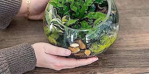 Make-n-Take : Terrariums at Mahoney's Brighton
