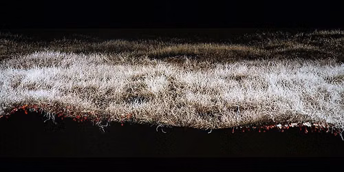 Members Only: Curator Tour \u2013 Faux Flora