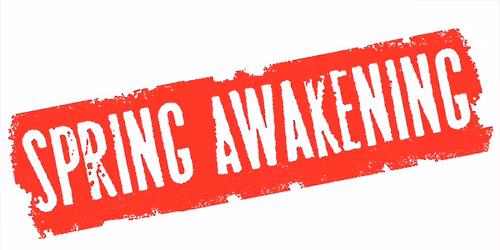 Spring Awakening: A New Musical