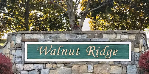 Board of Directors Meeting