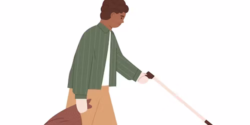 Litter Pick \/ Action Day