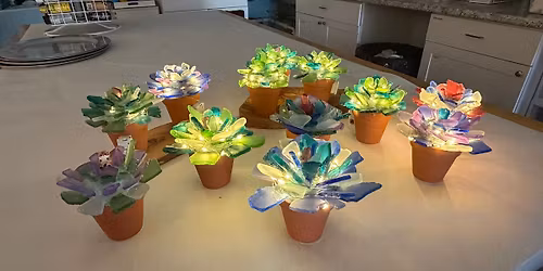 Seaglass Succulents