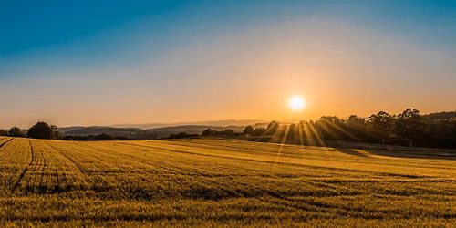 Bring Everything to the Light: An evening with Revd Dr Elaine Heath