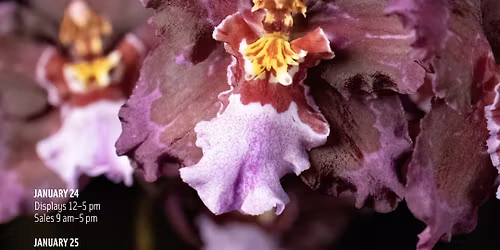 Orchid Show and Sale