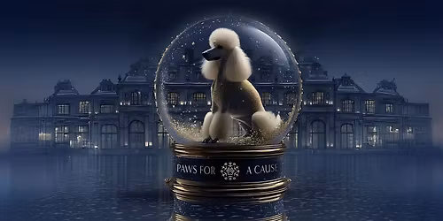 Paws for a Cause \u2013 j\u00f3t\u00e9konys\u00e1gi kar\u00e1csonyi v\u00e1s\u00e1r az AGNES SILKA-ban