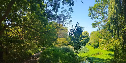 Discover London's Wandle Trail: 20km through South London