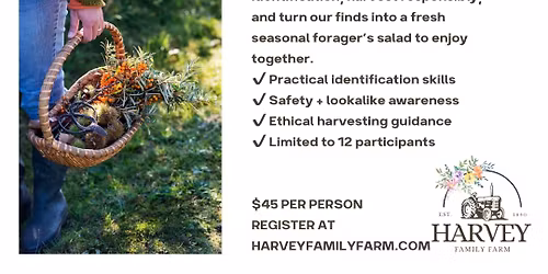 Spring Foraging & Wild Edibles