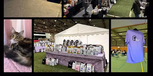 Elfsborgskattens internationella utst\u00e4llning 2026