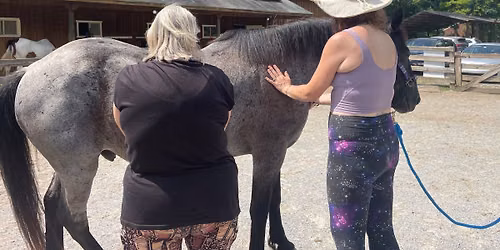 Animal Reiki Practitioner Certification Training