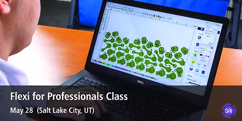Flexi For Professionals Class