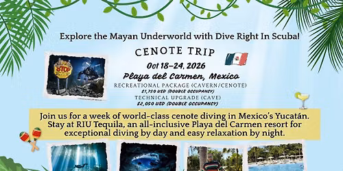 Playa del Carmen: Cenote & Cave Diving with Dive Right In Scuba at RIU Tequila 