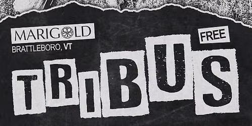 Tribus LIVE at Marigold Brattleboro