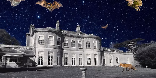 Nocturnal Discovery Walk