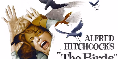Alfred Hitchcock\u2019s \u2018The Birds\u2019 at the Rio Theatre
