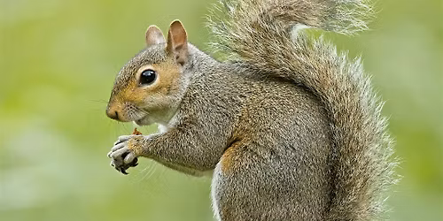 A Life in the Wild Walk at Oxbow Preserve
