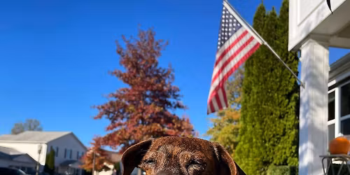 Rylee\u2019s 12th Birthday Paw-ty! \ud83e\udd73\ud83d\udc3e