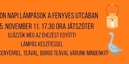 M\u00e1rton napi l\u00e1mp\u00e1sok a Fenyves utc\u00e1ban