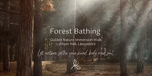 Forest Bathing Experience at Lytham Hall