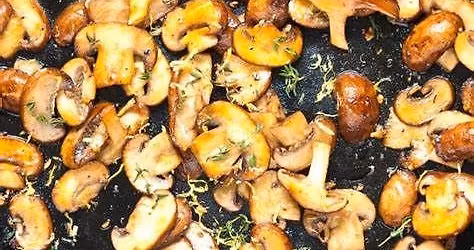 Things I Wish I'd Known About Mushrooming