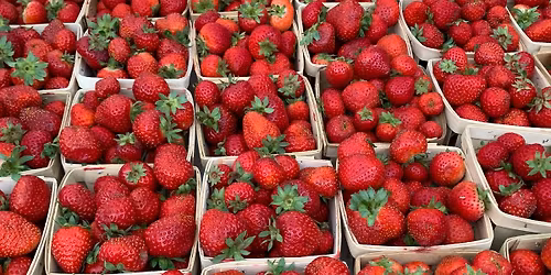 La Grange Farmers Market