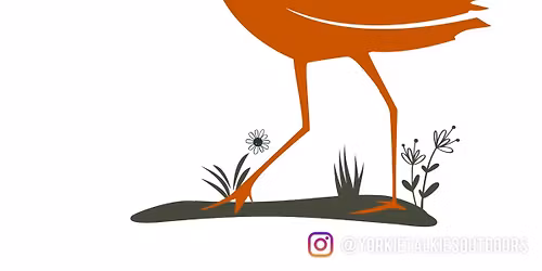 \ud83c\udf3f YTO Open Morning at Curlew\u2019s Dairies \ud83c\udf3f